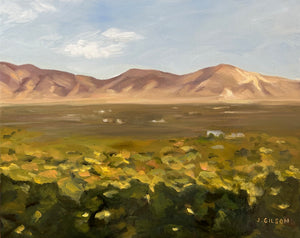 "Sunrise shadows from Wasatch Blvd"