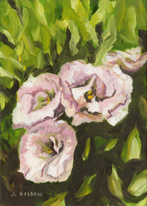 "Snuck Roses" 5"x7" oil