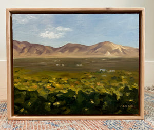 "Sunrise shadows from Wasatch Blvd"